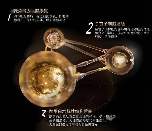 外汇市场今日波动，你还敢贸然入场吗？